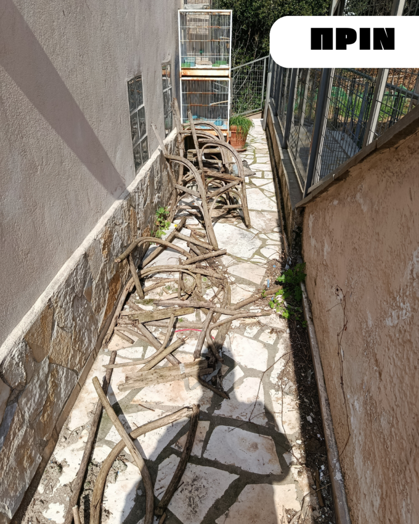 καθαρισμός αυλής στο φίλυρο