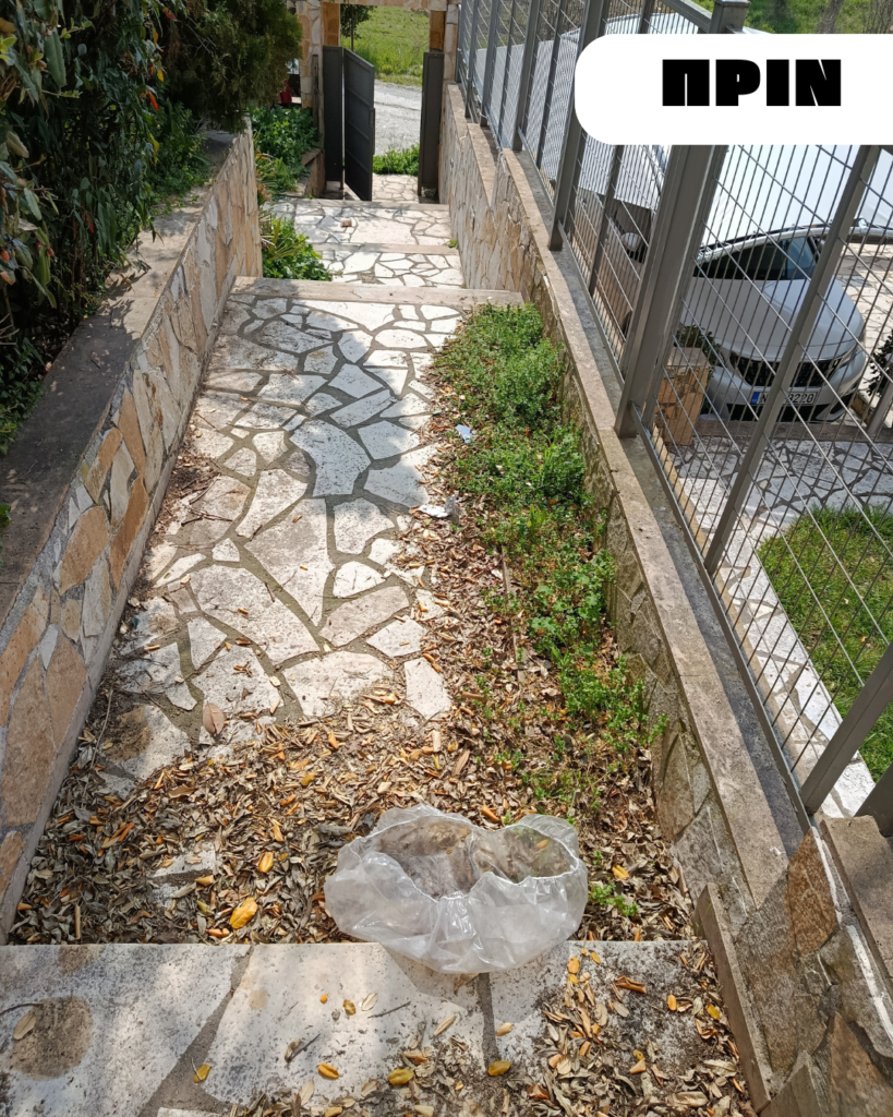 καθαρισμός αυλής στο φίλυρο