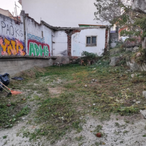 Overgrown vacant lot with graffiti walls.